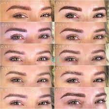 Microblading video | before & after pictures. Microblading Healing Process 2021 Complete Day By Day Overview Pmuhub