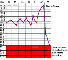 taking your dogs temperature to determine when possible