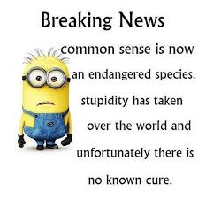 On april 23, 2020, social media users encountered numerous comments that claimed u.s. Common Sense Is Now An Endangered Species Stupidity Has Taken Over The World An Minion Quotes Memes