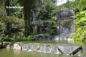 It is located adjacent to the lake gardens. Walking Through Kl Bird Park Things To Do In Kuala Lumpur Inditales