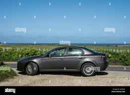 Image result for Grigio Canna Di Fucile 2011 159