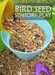 Bird Seed Sensory Play With Toddlers Sensory Activities Toddlers Sensory Play Toddlers Sensory Play