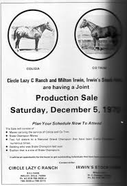 Colida, Appaloosa Stallion