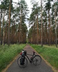 Das Sind Meine Lieblingsstrecken Quer Durch Den Wald Windstille Ab Und An Ein Paar Blode Unterwurzelung Aber Was Solls Der Elbe In 2020 Elberadweg Elbe Fahrrad