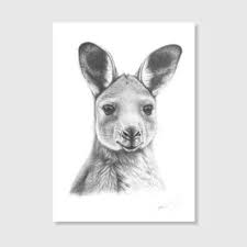 Pin On Drawing Ideas