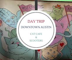 Expand submenu coffee collapse submenu coffee. Day Trip Cat Cafe Downtown Stroll Cedar Park Texas Living