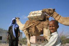 Books and camels…what's not to love? 95 Animal Bookmobile Ideas Bookmobile Mobile Library Library