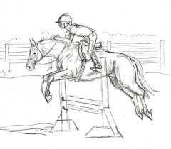 Pencils Ready Draw A Jumping Show Horse Horse Sketch Horse Art Drawing Horse Drawings