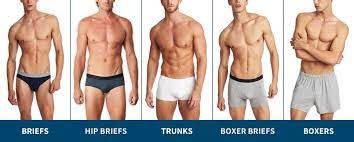 Top 7 Best Boxer Briefs For Men 2021 Guide The Modest Man