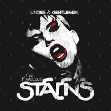 Ladies and Gentlemen, the Fabulous Stains T-Shirt | DarkLordPug