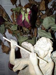 Image result for Chloris