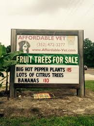 Check spelling or type a new query. Jonesville Persimmons Visit Natural North Florida