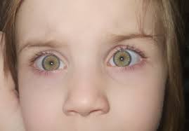 What are my child's eye colors?
