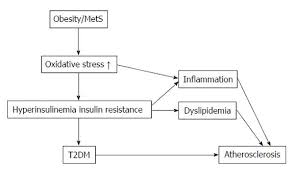 Oxidative Stress Insulin Resistance Dyslipidemia And Type