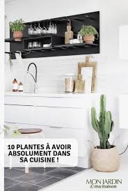 Plantes D Interieur Et Cuisine Ne Font Pas Forcement Bon Menage Nous Vous Aidons A Cho Interieur De Cuisine Interieur Moderne De Cuisine Amenagement Cuisine