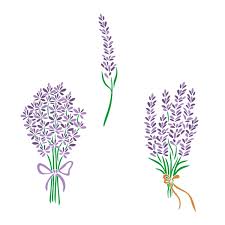 Designbundles.net offer exclusive deals on high quality premium design resources and free design resources. Bluebonnet Cuttable Design