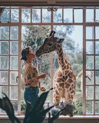 A capital, nairobi, é um centro comercial regional. Nairobi E A Capital Do Quenia Alem Do Centro Urbano A Cidade Conta Com O Parque Nacional De Nairobi Uma Grande Reserva De Caca Conhecida Pela Criacao De Rinocerontes Negros Que Estao