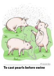 Some people call it spam. —scott weiland if it looks like a pig, sounds like a pig, acts like pig, don't be mistaking, it is a pig! —unknown if your pig stops eating take him to the vet as this is never normal. —adrienne kruzer A Series Of Postcards With A Piglet Proverbs And Sayings Do Not Throw Your Pearls To Pigs Stock Illustration Illustration Of Collection Phrase 128969477