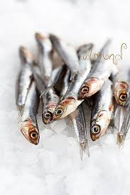 Bunch Of Anchovies Anchovies Fish Healthy Seafood Dinners