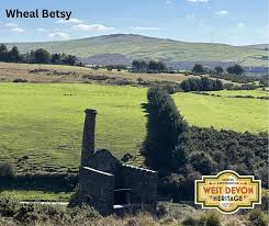Image result for Wheal