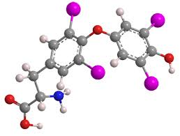 Image result for Thyroxine