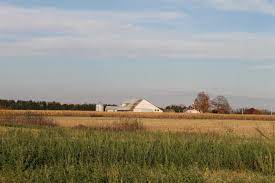 Stoppons L Usine De Champag A St Roch De Richelieu Home Facebook