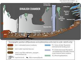 I.1 beschreiben sie die materialien b und c und . Homo Naledi Ein Neuer Verwandter Des Modernen Menschen Nachricht Archaologie Online