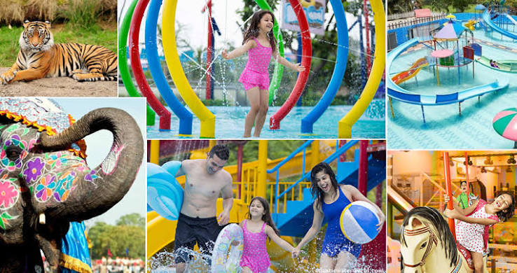 10 Family-Friendly Activities