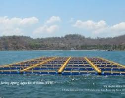 Aquatec Keramba Jaring Apung Kja Hdpe Aquatec Perusahaan Terlengkap Untuk Peralatan Kelautan Dan Perikanan Buatan Anak Bangsa Dermaga Perahu Indonesia