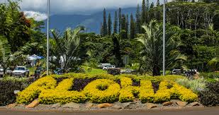 What does "Aloha" Mean? | The Local's Guide to Kauai