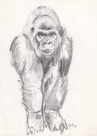 4.7 out of 5 stars. Art Collectibles Drawing Illustration Gorilla And The Baby Pencil Drawing On Canvas