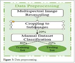 Explainable Convolutional Neural Network Based Tree Species Classification  Using Multispectral Images from an Unmanned Aerial Vehicle