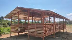 Maybe you would like to learn more about one of these? Penternakan Kambing Jamnapari Di Malaysia