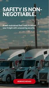 Image result for Gris 1995 Fleet