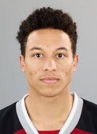 Cameron Schmidt Hockey Stats and Profile at hockeydb.com