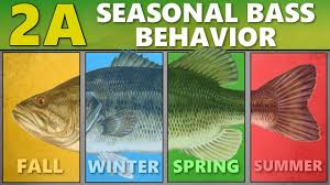 Intermediate Guide To Bass Fishing 2a Seasonal Bass Behavior