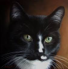 Home » disegno » come disegnare dei ritratti in bianco e nero? Ritratto Su Tela Di Un Gatto Bianco E Nero Dipinti Di Gatti Su Commissione