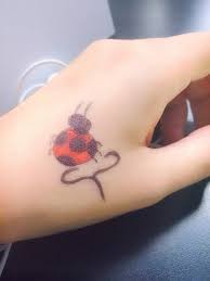 Good morning ( ladybug) photo: Good Morning Ladybug And Cat Noir Fans Miraculous Amino