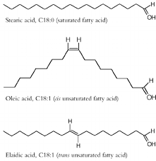 Image result for Fatty Acid