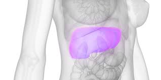 Learn about liver cancer treatments and survival rate facts online. 6 Signs Your Liver Might Be Failing Prevention