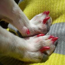 images?q=tbn:ANd9GcQcOkETUR7o6TEDg2UdE5ffLGltZCj1yQqg_s2qbcjWGUpbfjsY