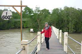 We did not find results for: 10 Tempat Menarik Di Pontian Yang Boleh Anda Lawati Ammboi