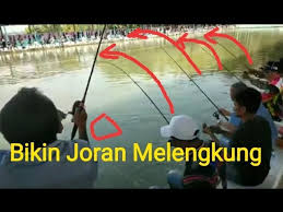 Bikin Joran Melengkung Kolam Pancingan Lubuk Indah Youtube