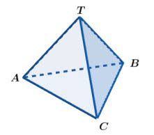 Check spelling or type a new query. Limas Sifat Jaring Jaring Luas Permukaan Volume