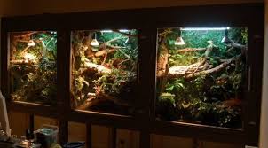 Monkey Tail Skink Vivariums Each One 4ft X 4ft X2ft Vivarium Pets Aquarium