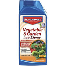 Bioadvanced Fungus Control For Lawns Temperature Amazon Com Spectracide 51585 Immunox Plus Insect Disease Control Aerosol 14oz Brown A Insect Repellents Garden Outdoor