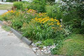 America is strong in landscape architecture but not quite such a leader in garden design. Soak Up The Rain Rain Gardens Us Epa