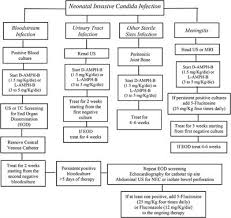 Convenience and efficacy of single dose oral tablet of fluconazole regimen for the treatment of vaginal yeast infections should be weighed against acceptability of higher incidence of. Frontiers Antifungal Drugs For Invasive Candida Infections Ici In Neonates Future Perspectives Pediatrics