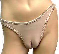 Amazon.com: Camel Toe Gaff Panties Realistic SILICONE Crossdresser,  Transgender For Tucking (XS (28-30)): Clothing, Shoes & Jewelry