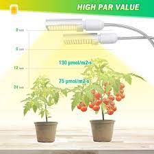 Check spelling or type a new query. Thow Long Should You Leave The Grow Light On You Should Not Leave Your Grow Light On 24 7 Plants Do Need Some Res Plants Grow Lights For Plants Grow Lights